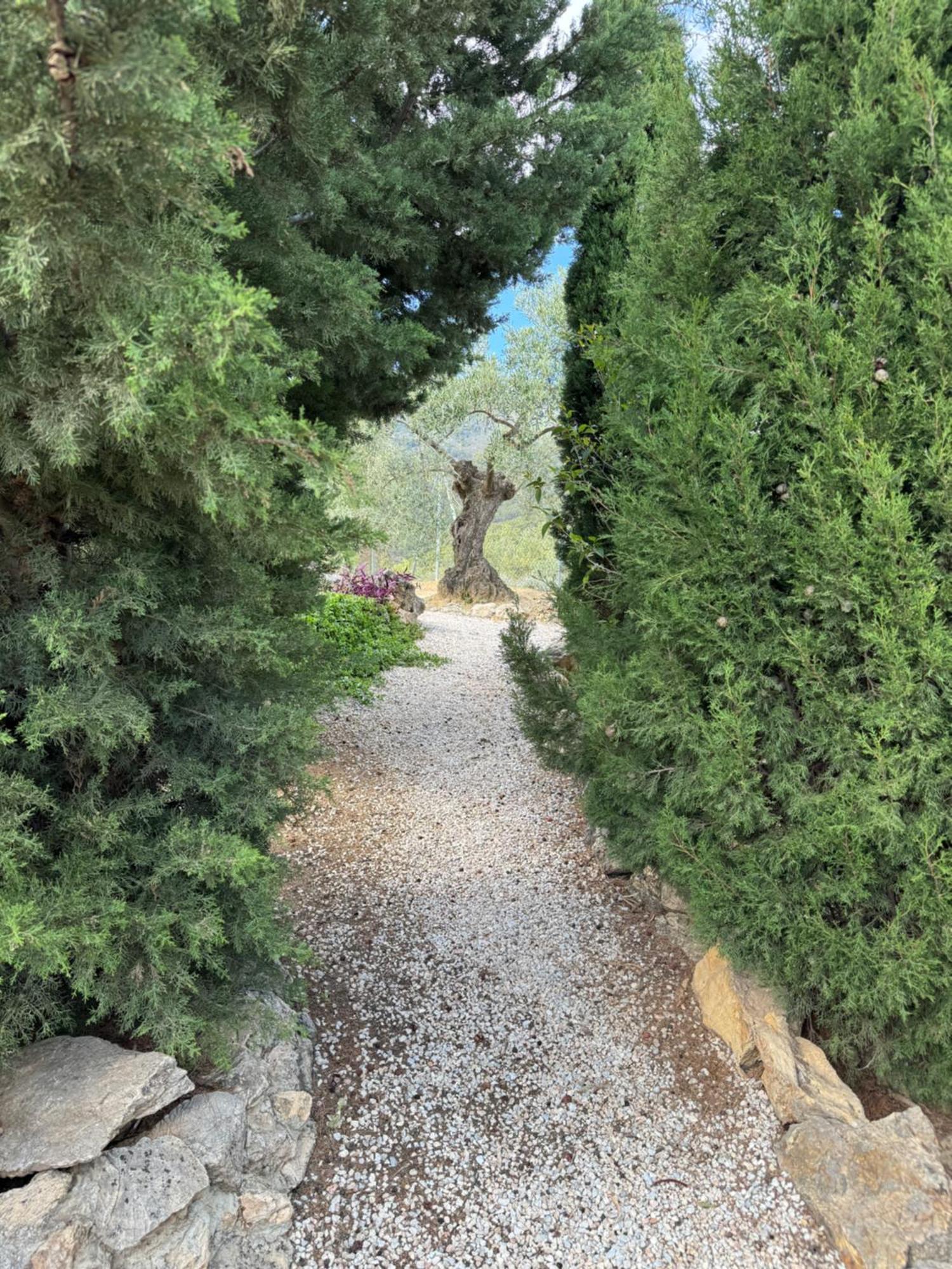 El Pedregal - Parque Sierra De Nieves Villa Yunquera