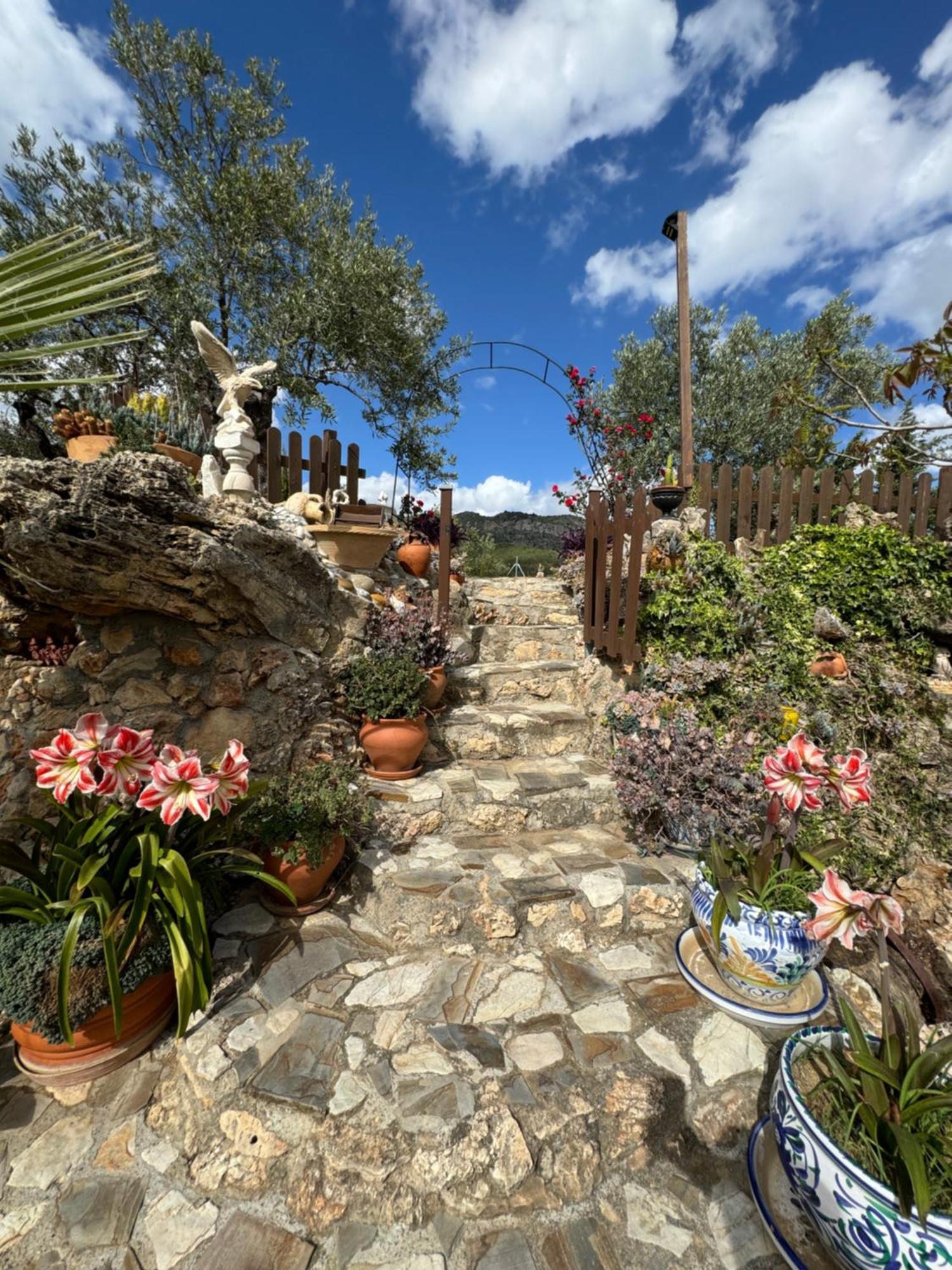 El Pedregal - Parque Sierra De Nieves Yunquera